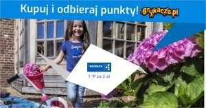 payback, brykacze.pl, zabawki, sklep z zabawkami, punkty